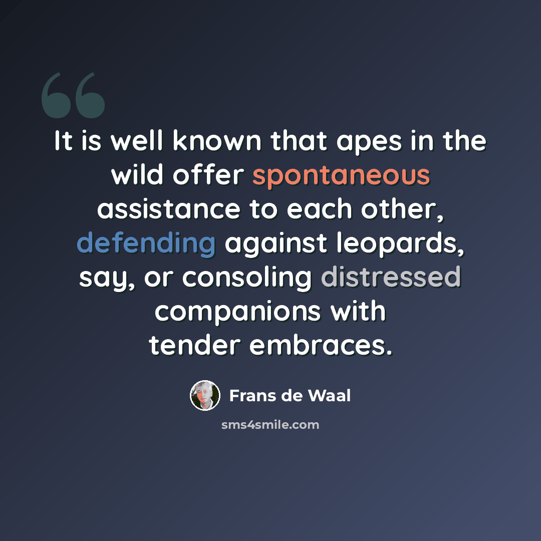 “It is well known that apes in the wild offer spontaneous assistance to each other, defending against leopards, say, or consoling distressed companions with tender embraces.” quote by Frans de Waal