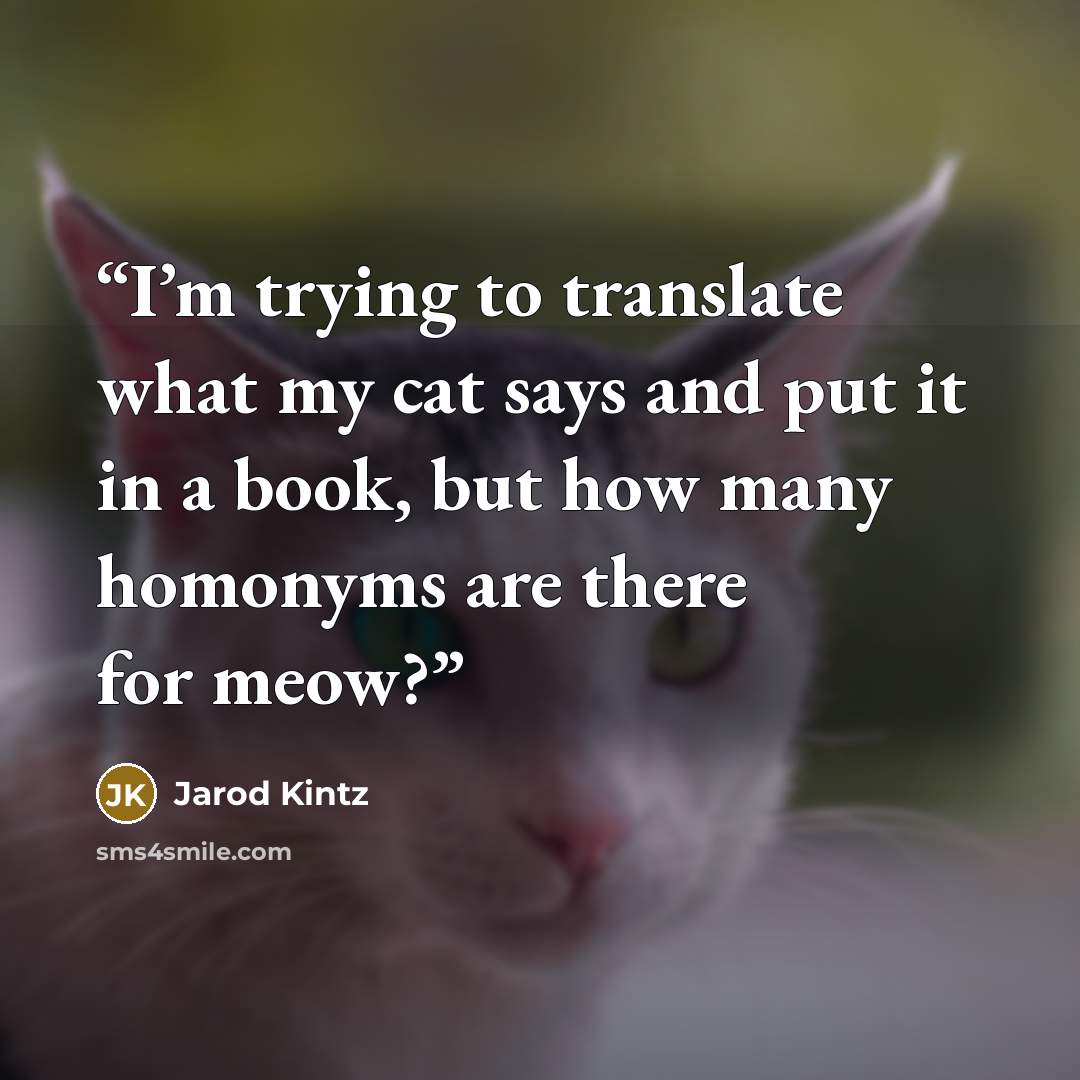 “I’m trying to translate what my cat says and put it in a book, but how many homonyms are there for meow?” quote by Jarod Kintz