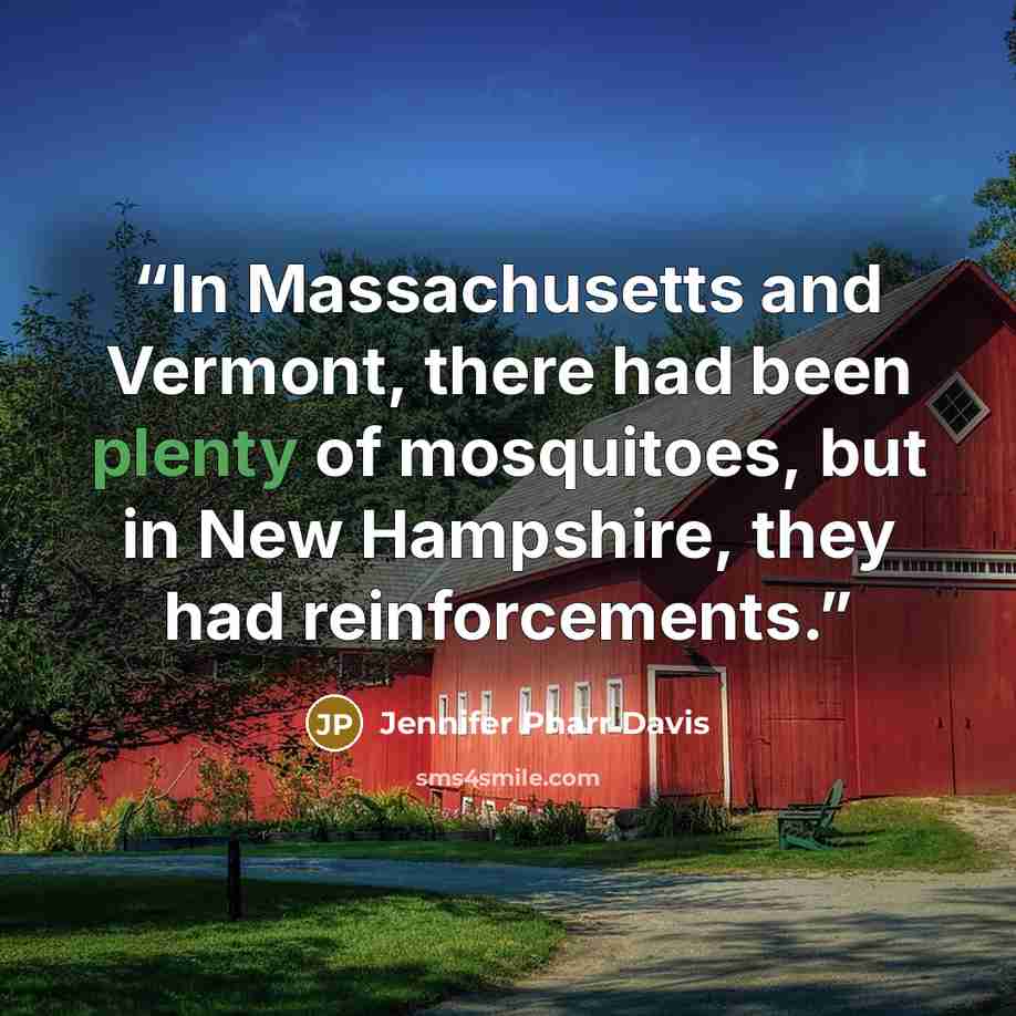 “In Massachusetts and Vermont, there had been plenty of mosquitoes, but in New Hampshire, they had reinforcements.” quote by Jennifer Pharr Davis