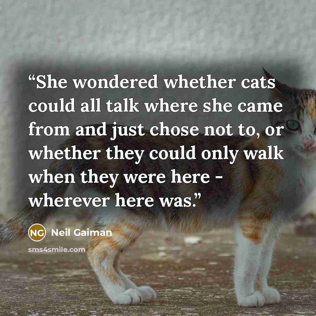 “She wondered whether cats could all talk where she came from and just chose not to, or whether they could only walk when they were here - wherever here was.” quote by Neil Gaiman