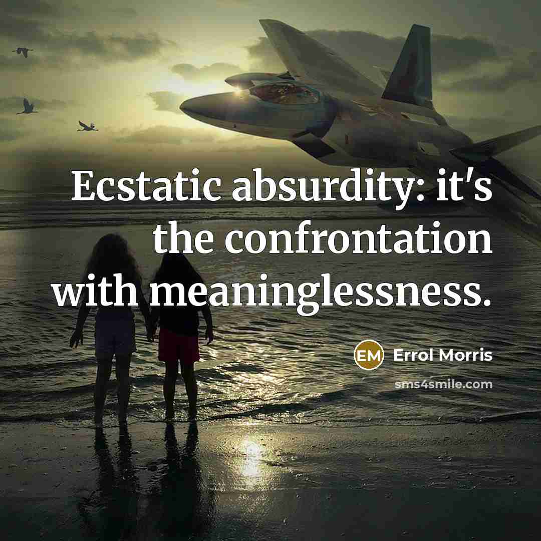 “Ecstatic absurdity: it's the confrontation with meaninglessness.” quote by Errol Morris
