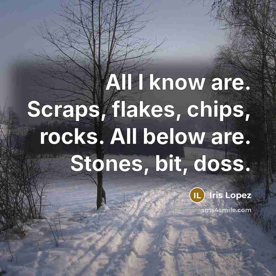 “All I know are. Scraps, flakes, chips, rocks. All below are. Stones, bit, doss.” quote by Iris Lopez