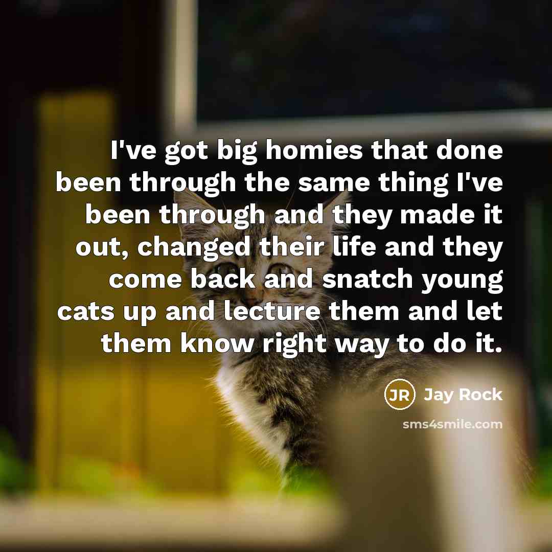 “I've got big homies that done been through the same thing I've been through and they made it out, changed their life and they come back and snatch young cats up and lecture them and let them know right way to do it.” quote by Jay Rock
