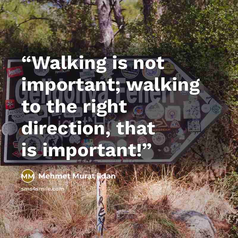 “Walking is not important; walking to the right direction, that is important!” quote by Mehmet Murat ildan