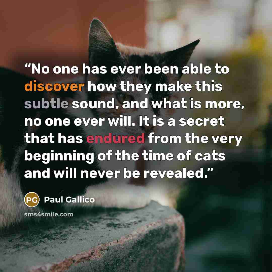 “No one has ever been able to discover how they make this subtle sound, and what is more, no one ever will. It is a secret that has endured from the very beginning of the time of cats and will never be revealed.” quote by Paul Gallico