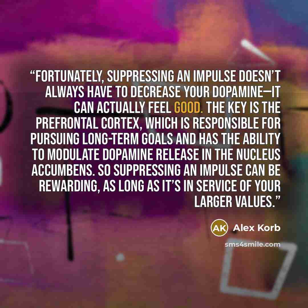 “Fortunately, suppressing an impulse doesn’t always have to decrease your dopamine—it can actually feel good. The key is the prefrontal cortex, which is responsible for pursuing long-term goals and has the ability to modulate dopamine release in the nucleus accumbens. So suppressing an impulse can…” quote by Alex Korb