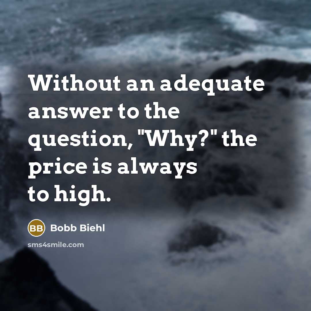 “Without an adequate answer to the question, "Why?" the price is always to high.” quote by Bobb Biehl