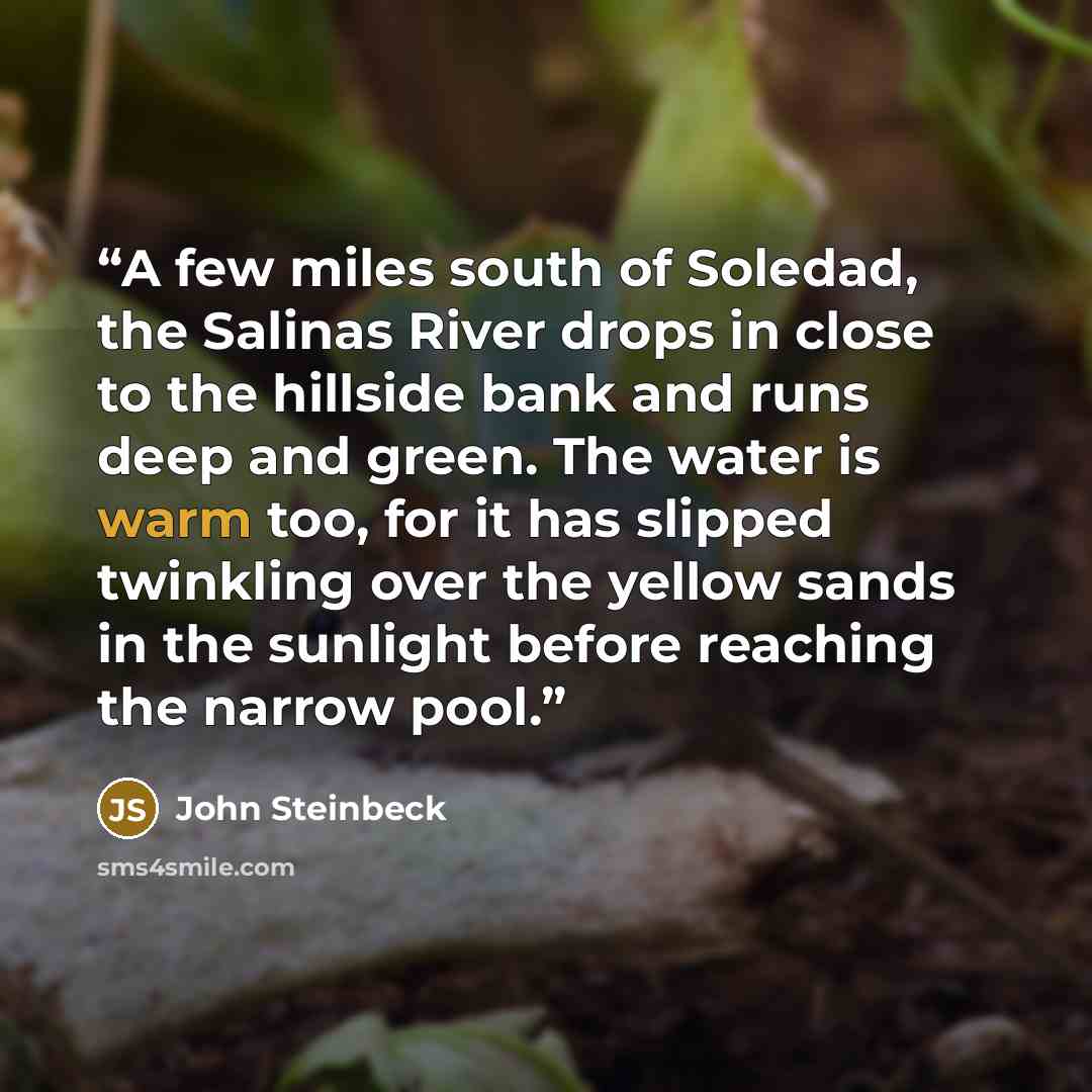 “A few miles south of Soledad, the Salinas River drops in close to the hillside bank and runs deep and green. The water is warm too, for it has slipped twinkling over the yellow sands in the sunlight before reaching the narrow pool.” quote by John Steinbeck