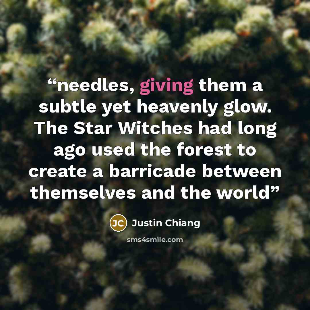 “needles, giving them a subtle yet heavenly glow. The Star Witches had long ago used the forest to create a barricade between themselves and the world” quote by Justin Chiang