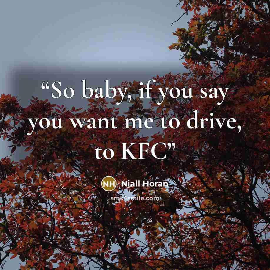 “So baby, if you say you want me to drive, to KFC” quote by Niall Horan