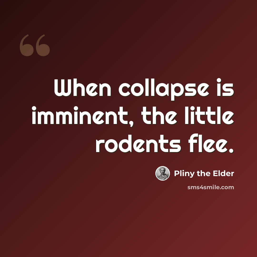 “When collapse is imminent, the little rodents flee.” quote by Pliny the Elder