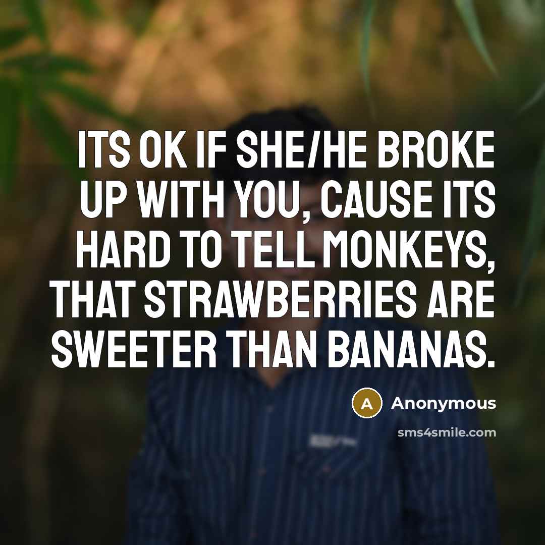 “Its Ok if she/he broke up with you, cause its hard to tell monkeys, that strawberries are sweeter than bananas.” quote by Anonymous