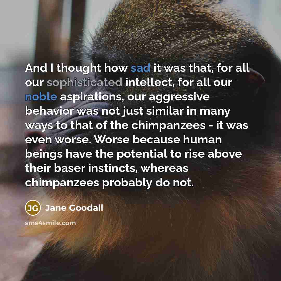 “And I thought how sad it was that, for all our sophisticated intellect, for all our noble aspirations, our aggressive behavior was not just similar in many ways to that of the chimpanzees - it was even worse. Worse because human beings have the potential to rise above their baser instincts…” quote by Jane Goodall