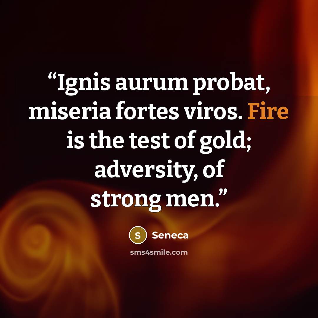 “Ignis aurum probat, miseria fortes viros. Fire is the test of gold; adversity, of strong men.” quote by Seneca