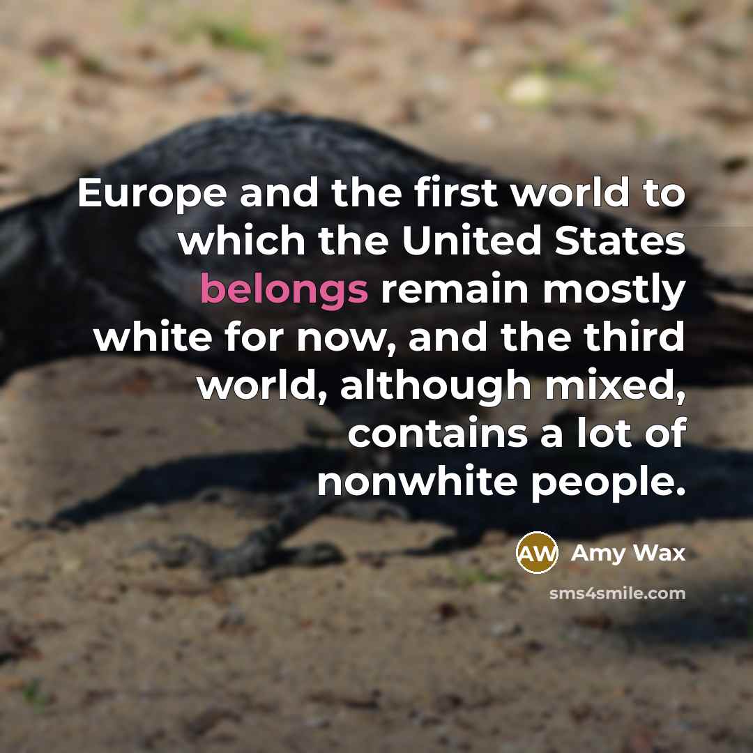 “Europe and the first world to which the United States belongs remain mostly white for now, and the third world, although mixed, contains a lot of nonwhite people.” quote by Amy Wax