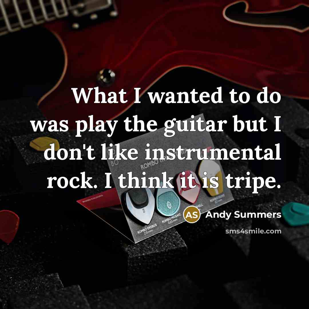 “What I wanted to do was play the guitar but I don't like instrumental rock. I think it is tripe.” quote by Andy Summers