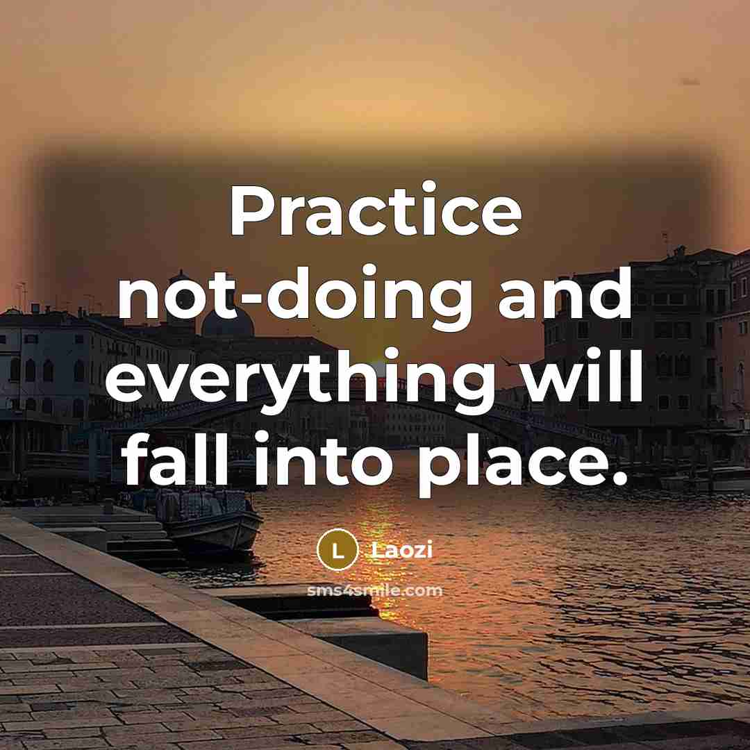 “Practice not-doing and everything will fall into place.” quote by Laozi