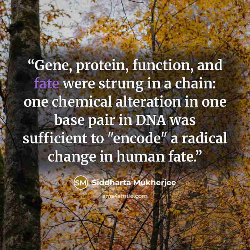“Gene, protein, function, and fate were strung in a chain: one chemical alteration in one base pair in DNA was sufficient to "encode" a radical change in human fate.” quote by Siddharta Mukherjee