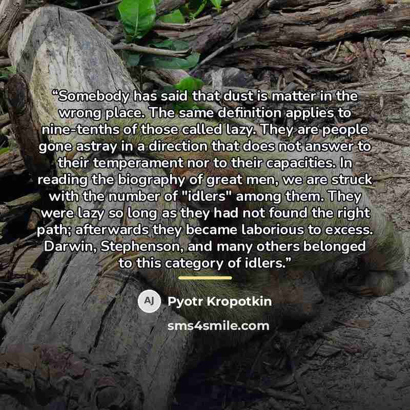 “Somebody has said that dust is matter in the wrong place. The same definition applies to nine-tenths of those called lazy. They are people gone astray in a direction that does not answer to their temperament nor to their capacities. In reading the biography of great men, we are struck with the…” quote by Pyotr Kropotkin