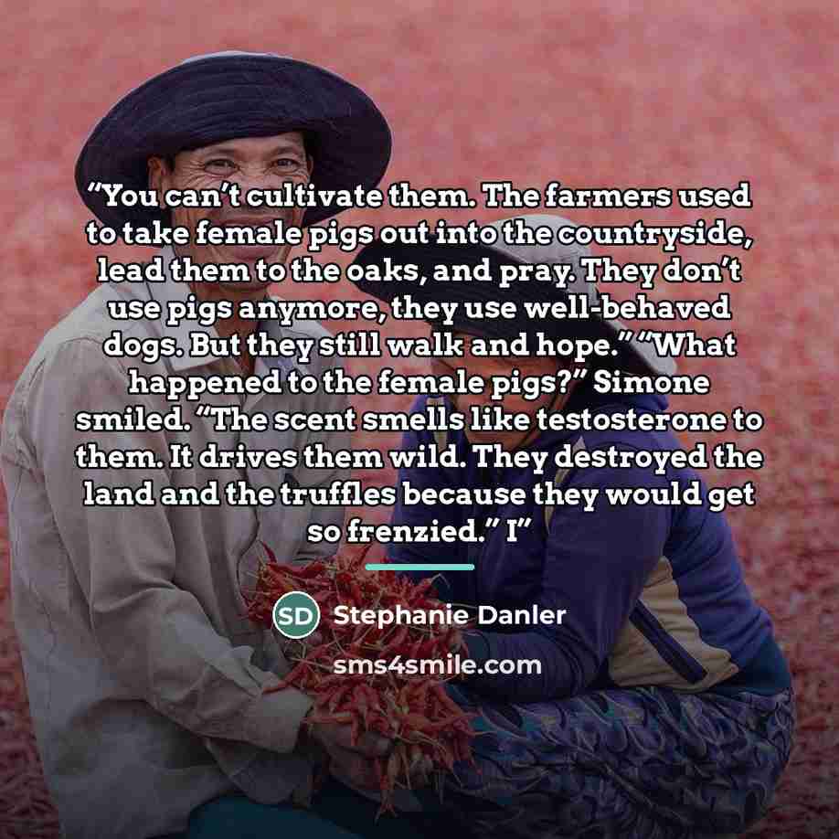 “You can’t cultivate them. The farmers used to take female pigs out into the countryside, lead them to the oaks, and pray. They don’t use pigs anymore, they use well-behaved dogs. But they still walk and hope.” “What happened to the female pigs?” Simone smiled. “The scent smells like testosterone…” quote by Stephanie Danler