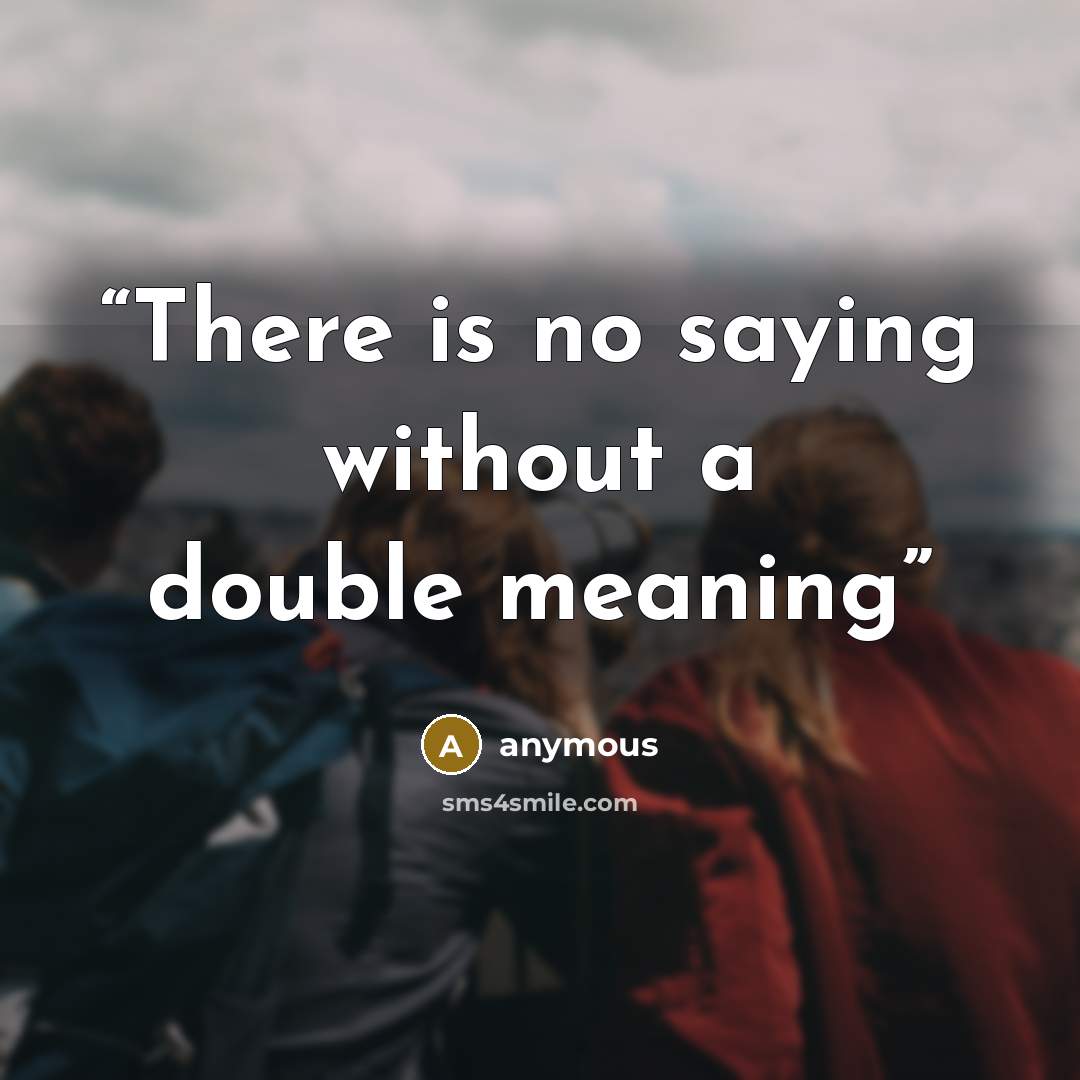 “There is no saying without a double meaning” quote by anymous