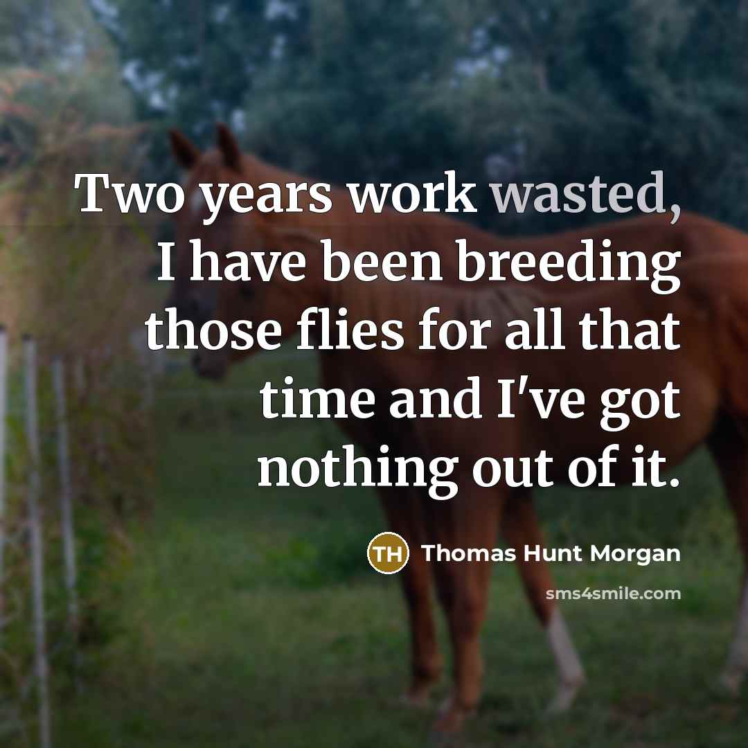 “Two years work wasted, I have been breeding those flies for all that time and I've got nothing out of it.” quote by Thomas Hunt Morgan