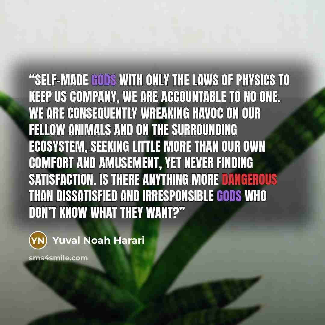 “Self-made gods with only the laws of physics to keep us company, we are accountable to no one. We are consequently wreaking havoc on our fellow animals and on the surrounding ecosystem, seeking little more than our own comfort and amusement, yet never finding satisfaction. Is there anything more…” quote by Yuval Noah Harari