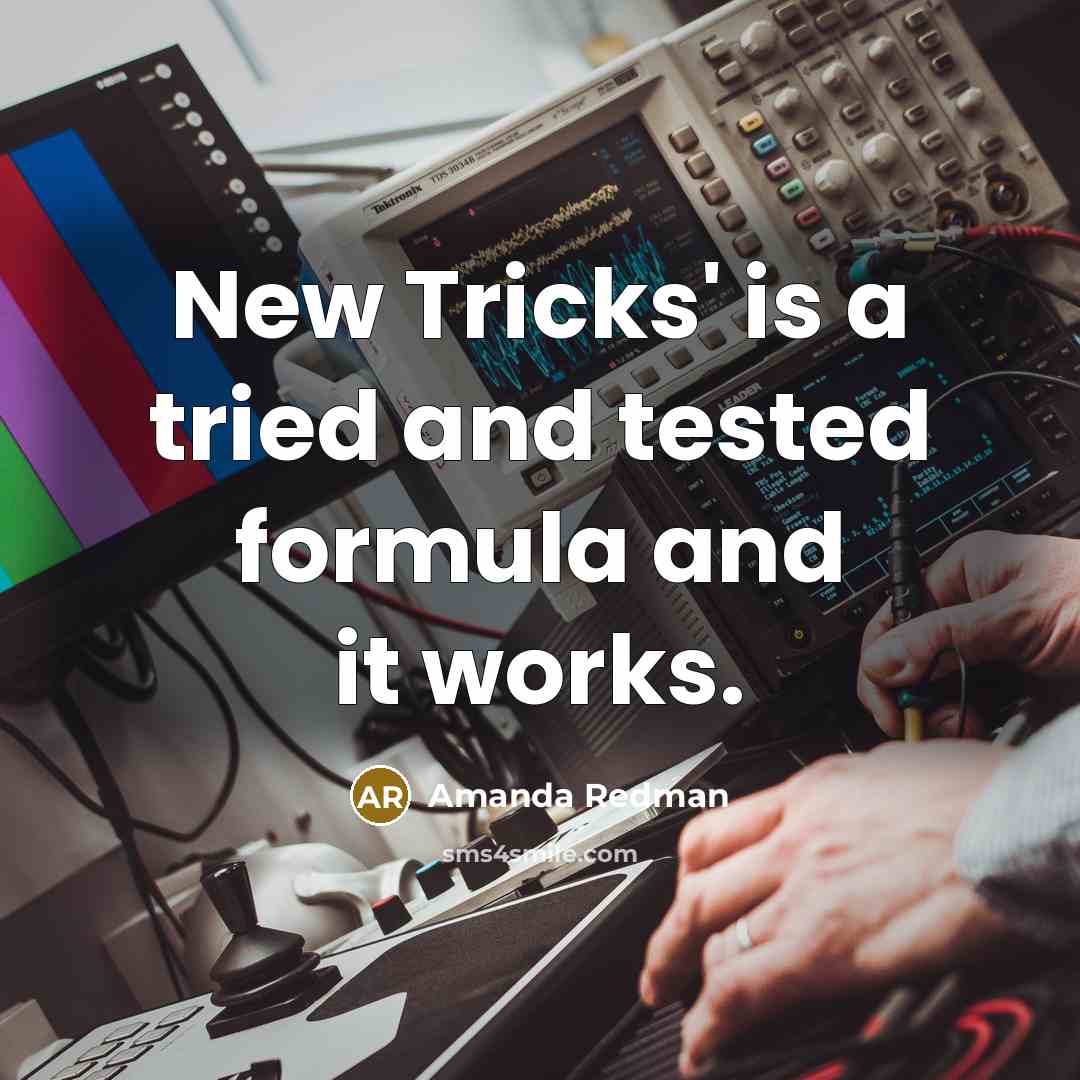 “New Tricks' is a tried and tested formula and it works.” quote by Amanda Redman