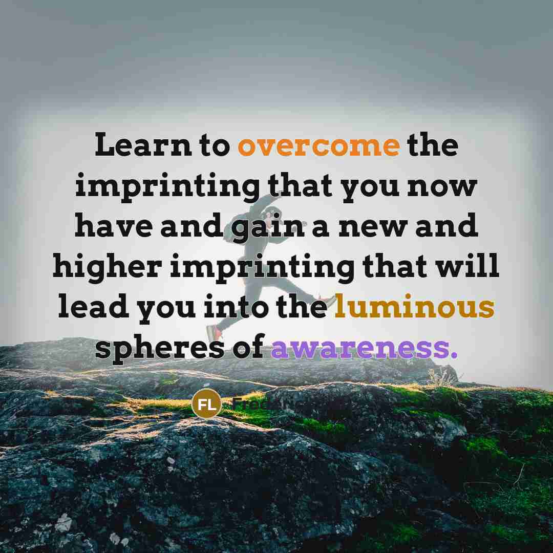 “Learn to overcome the imprinting that you now have and gain a new and higher imprinting that will lead you into the luminous spheres of awareness.” quote by Frederick Lenz