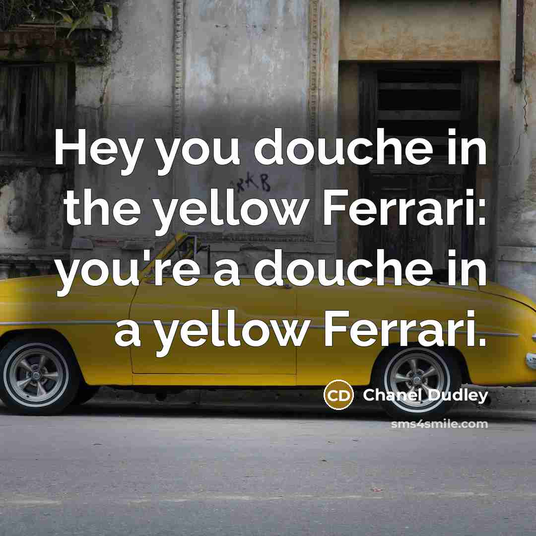 “Hey you douche in the yellow Ferrari: you're a douche in a yellow Ferrari.” quote by Chanel Dudley