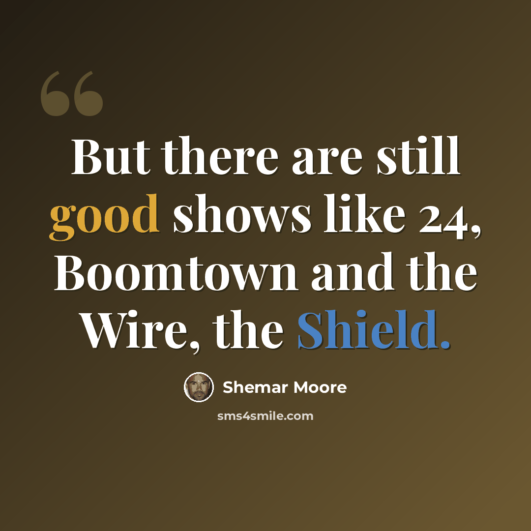 “But there are still good shows like 24, Boomtown and the Wire, the Shield.” quote by Shemar Moore
