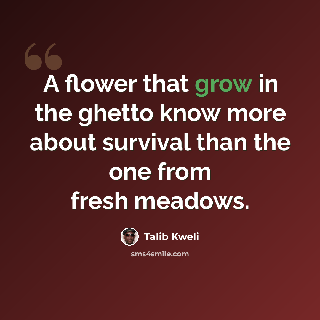 “A flower that grow in the ghetto know more about survival than the one from fresh meadows.” quote by Talib Kweli