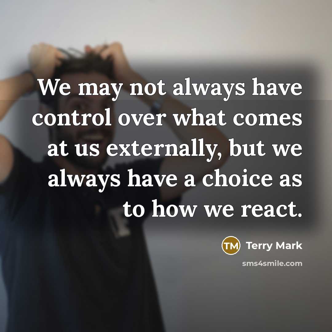 “We may not always have control over what comes at us externally, but we always have a choice as to how we react.” quote by Terry Mark