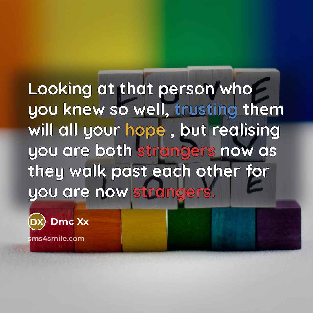 “Looking at that person who you knew so well, trusting them will all your hope , but realising you are both strangers now as they walk past each other for you are now strangers.” quote by Dmc Xx
