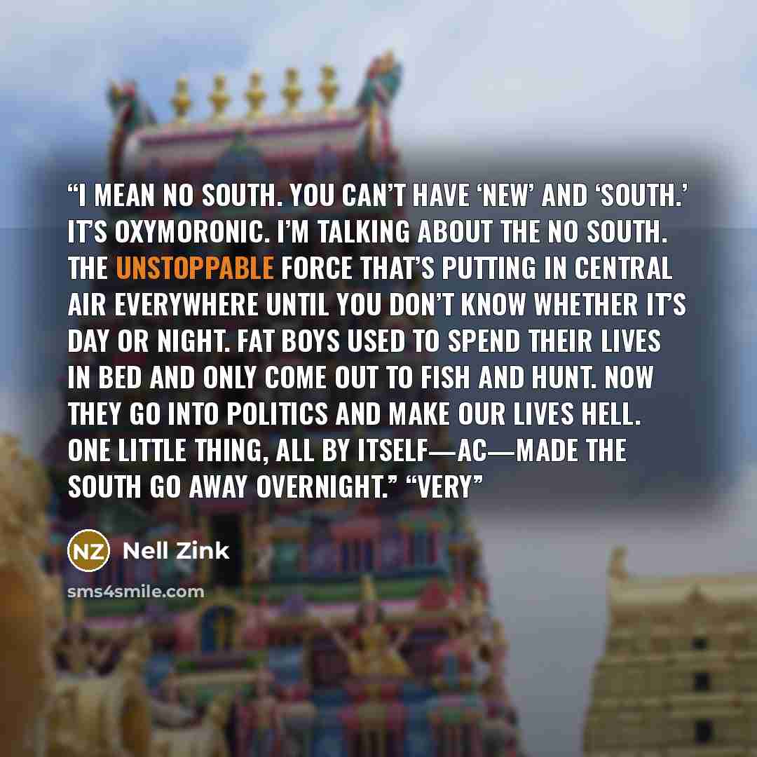“I mean No South. You can’t have ‘New’ and ‘South.’ It’s oxymoronic. I’m talking about the No South. The unstoppable force that’s putting in central air everywhere until you don’t know whether it’s day or night. Fat boys used to spend their lives in bed and only come out to fish and hunt. Now they…” quote by Nell Zink