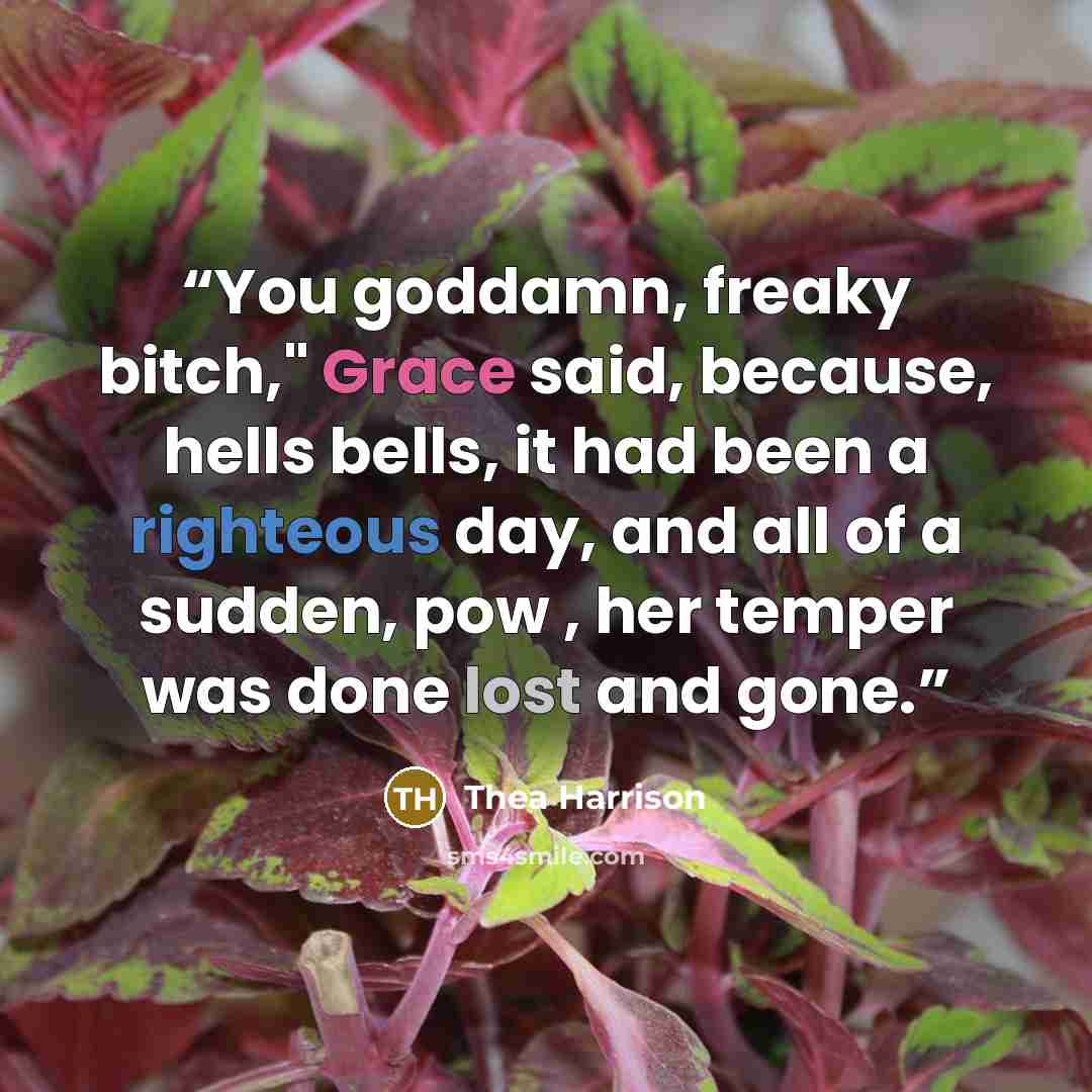 “You goddamn, freaky bitch," Grace said, because, hells bells, it had been a righteous day, and all of a sudden, pow , her temper was done lost and gone.” quote by Thea Harrison