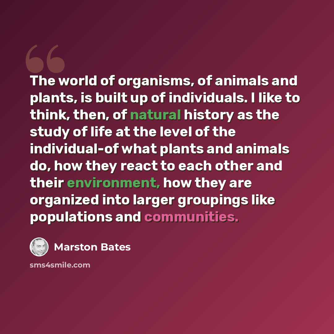 “The world of organisms, of animals and plants, is built up of individuals. I like to think, then, of natural history as the study of life at the level of the individual-of what plants and animals do, how they react to each other and their environment, how they are organized into larger groupings…” quote by Marston Bates