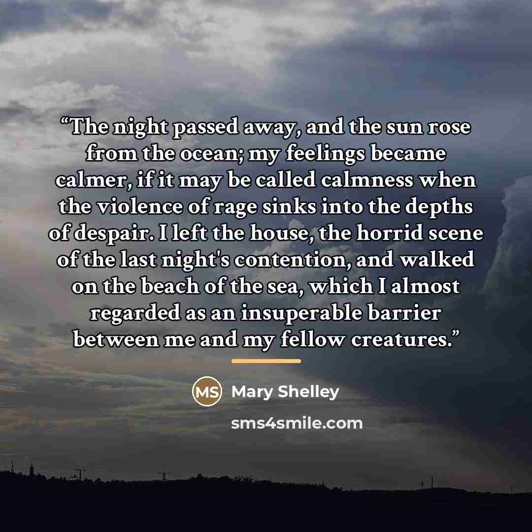 “The night passed away, and the sun rose from the ocean; my feelings became calmer, if it may be called calmness when the violence of rage sinks into the depths of despair. I left the house, the horrid scene of the last night's contention, and walked on the beach of the sea, which I almost regarded…” quote by Mary Shelley