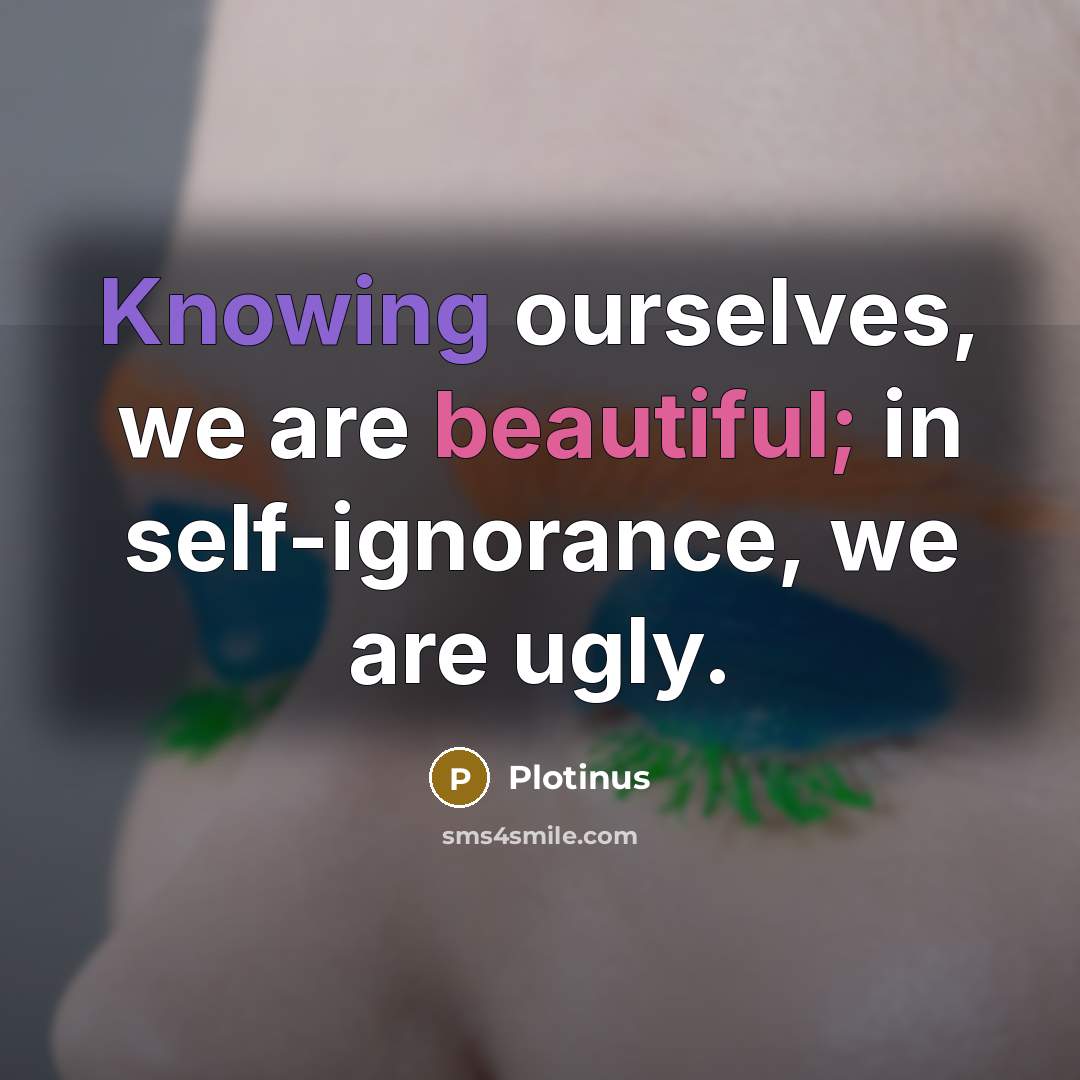 “Knowing ourselves, we are beautiful; in self-ignorance, we are ugly.” quote by Plotinus
