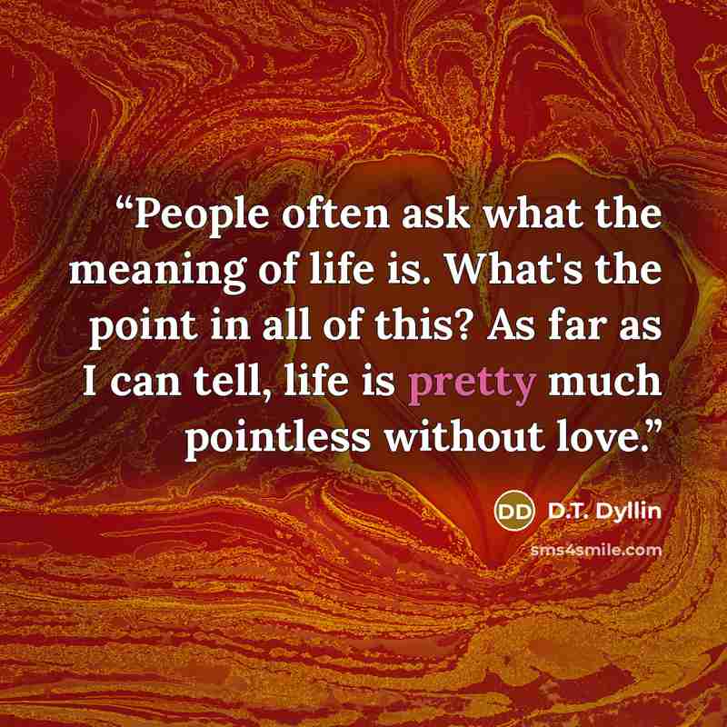 “People often ask what the meaning of life is. What's the point in all of this? As far as I can tell, life is pretty much pointless without love.” quote by D.T. Dyllin