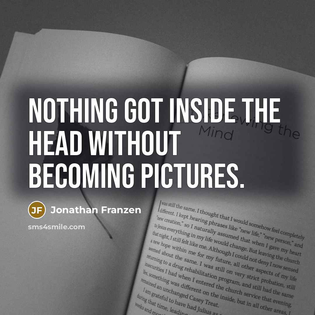 “Nothing got inside the head without becoming pictures.” quote by Jonathan Franzen