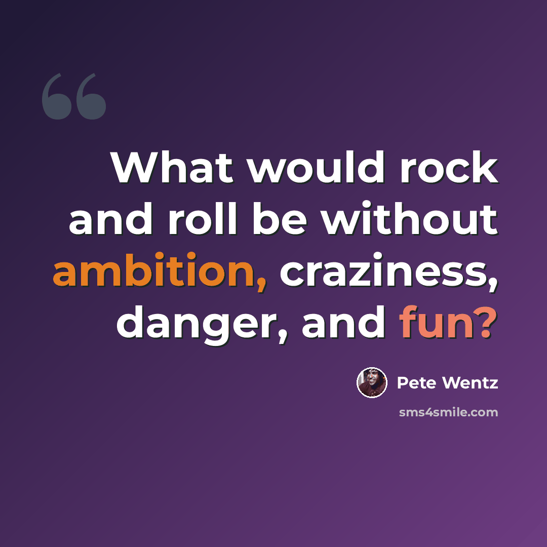 “What would rock and roll be without ambition, craziness, danger, and fun?” quote by Pete Wentz