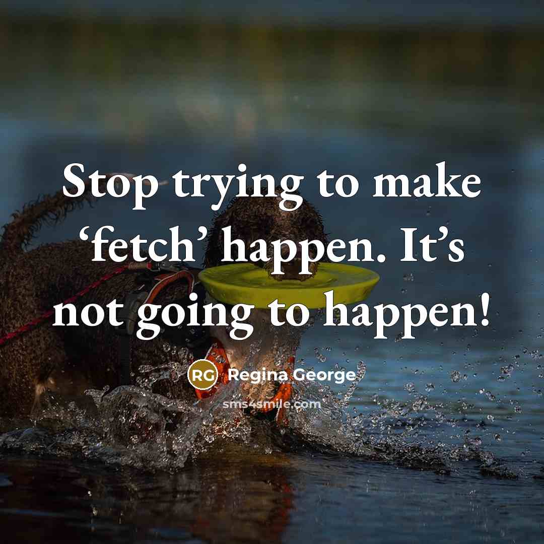“Stop trying to make ‘fetch’ happen. It’s not going to happen!” quote by Regina George