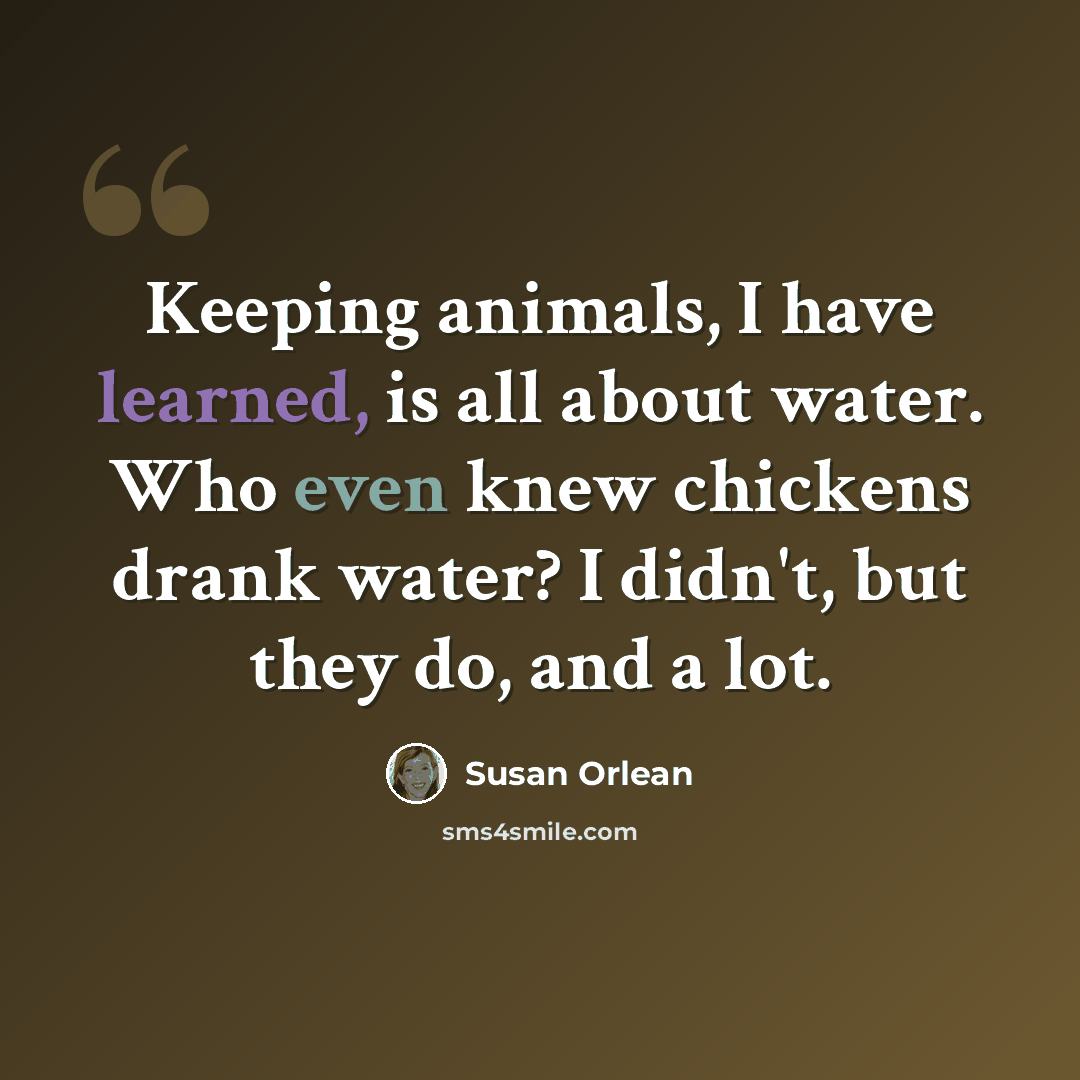 “Keeping animals, I have learned, is all about water. Who even knew chickens drank water? I didn't, but they do, and a lot.” quote by Susan Orlean