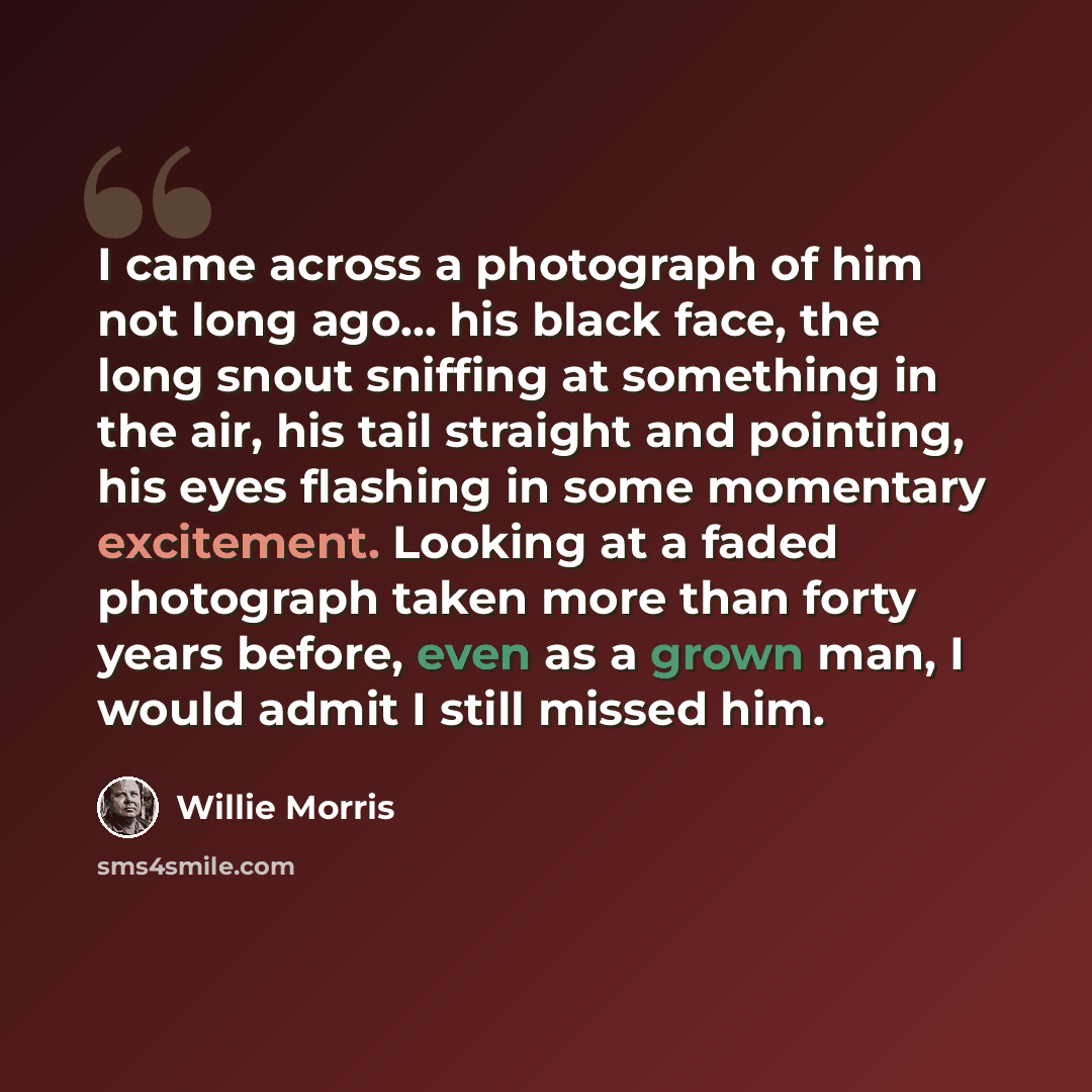 “I came across a photograph of him not long ago... his black face, the long snout sniffing at something in the air, his tail straight and pointing, his eyes flashing in some momentary excitement. Looking at a faded photograph taken more than forty years before, even as a grown man, I would admit I…” quote by Willie Morris