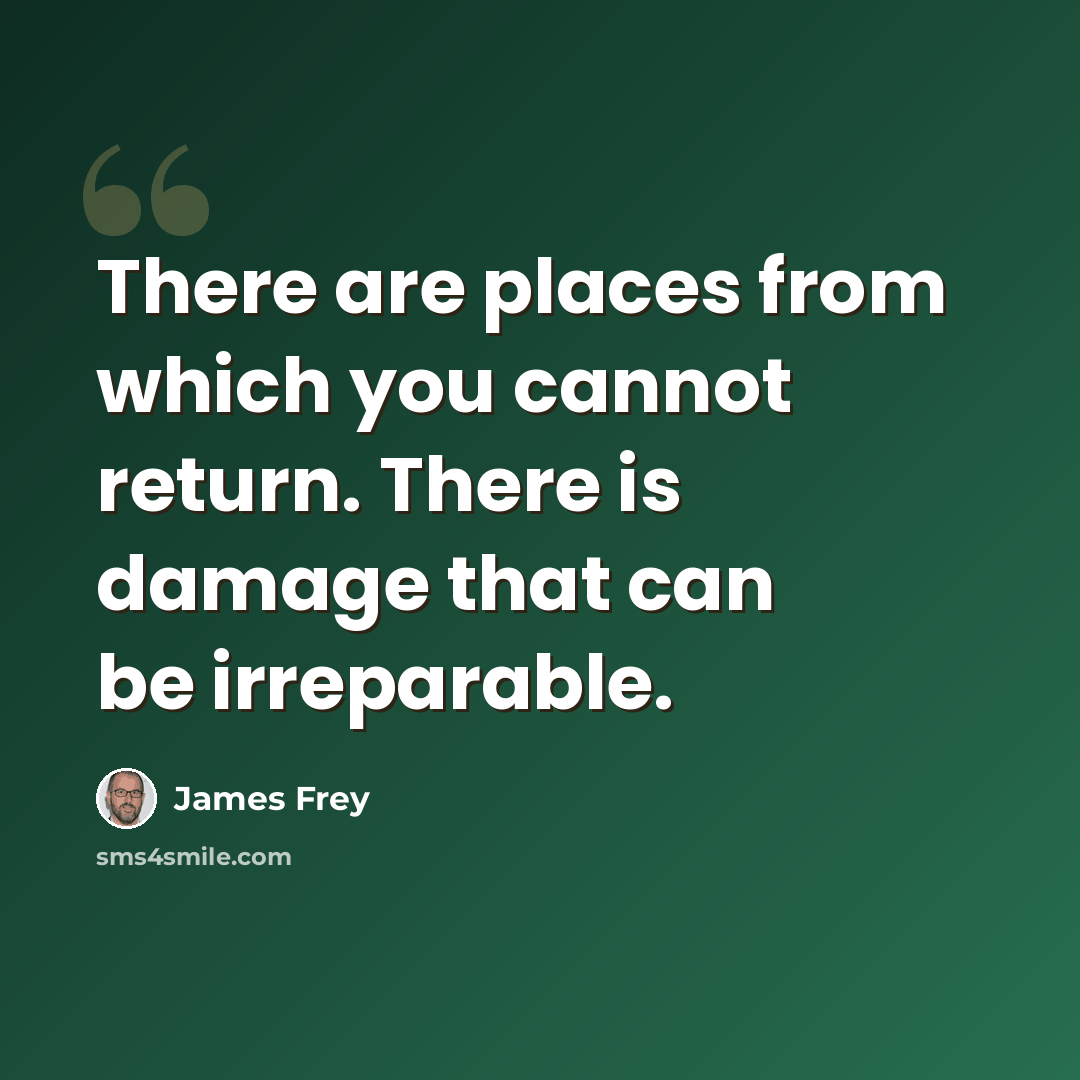 “There are places from which you cannot return. There is damage that can be irreparable.” quote by James Frey