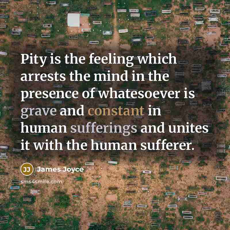 “Pity is the feeling which arrests the mind in the presence of whatesoever is grave and constant in human sufferings and unites it with the human sufferer.” quote by James Joyce