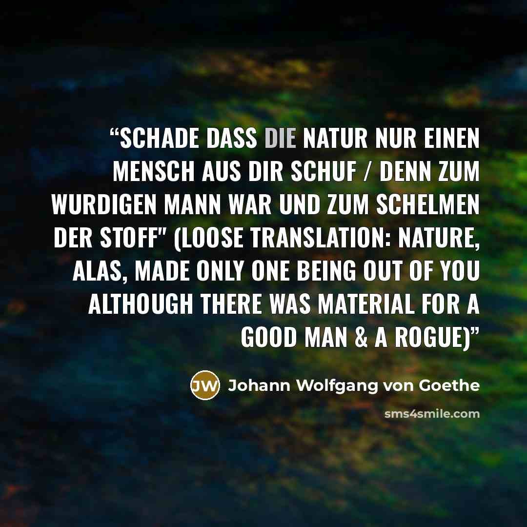 “schade dass die Natur nur einen Mensch aus dir schuf / denn zum wurdigen Mann war und zum Schelmen der Stoff" (loose translation: nature, alas, made only one being out of you although there was material for a good man & a rogue)” quote by Johann Wolfgang von Goethe