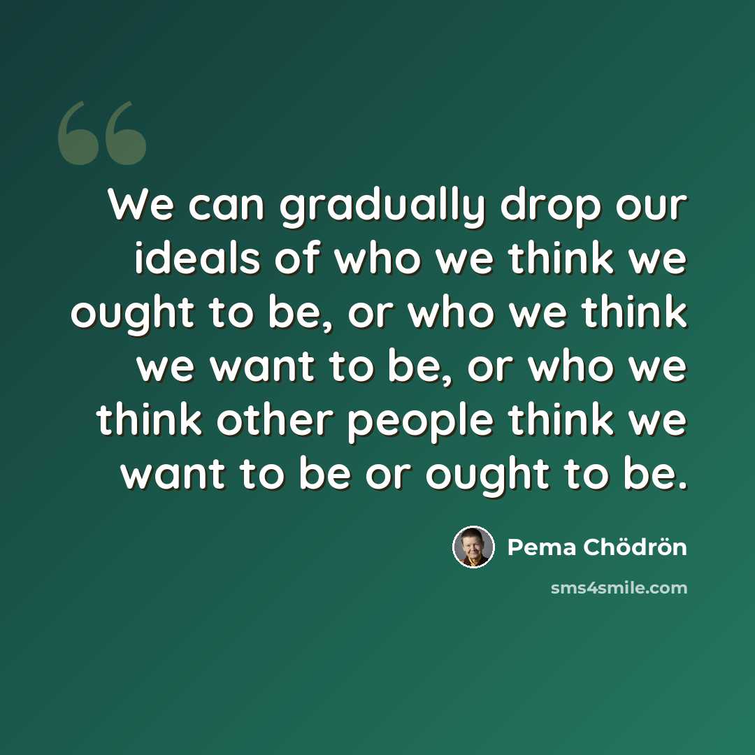 “We can gradually drop our ideals of who we think we ought to be, or who we think we want to be, or who we think other people think we want to be or ought to be.” quote by Pema Chodron