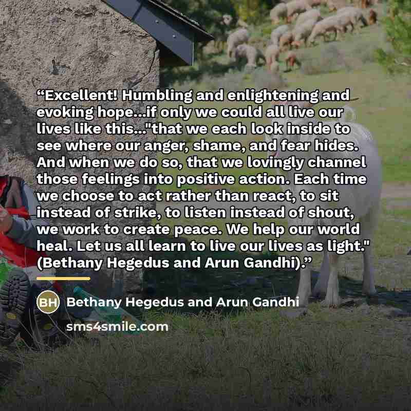 “Excellent! Humbling and enlightening and evoking hope...if only we could all live our lives like this..."that we each look inside to see where our anger, shame, and fear hides. And when we do so, that we lovingly channel those feelings into positive action. Each time we choose to act rather than…” quote by Bethany Hegedus and Arun Gandhi